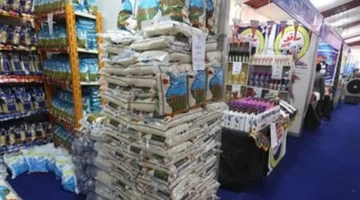 استقرار أسعار السكر والأرز والدقيق في أسواق محافظة سوهاج الحالية